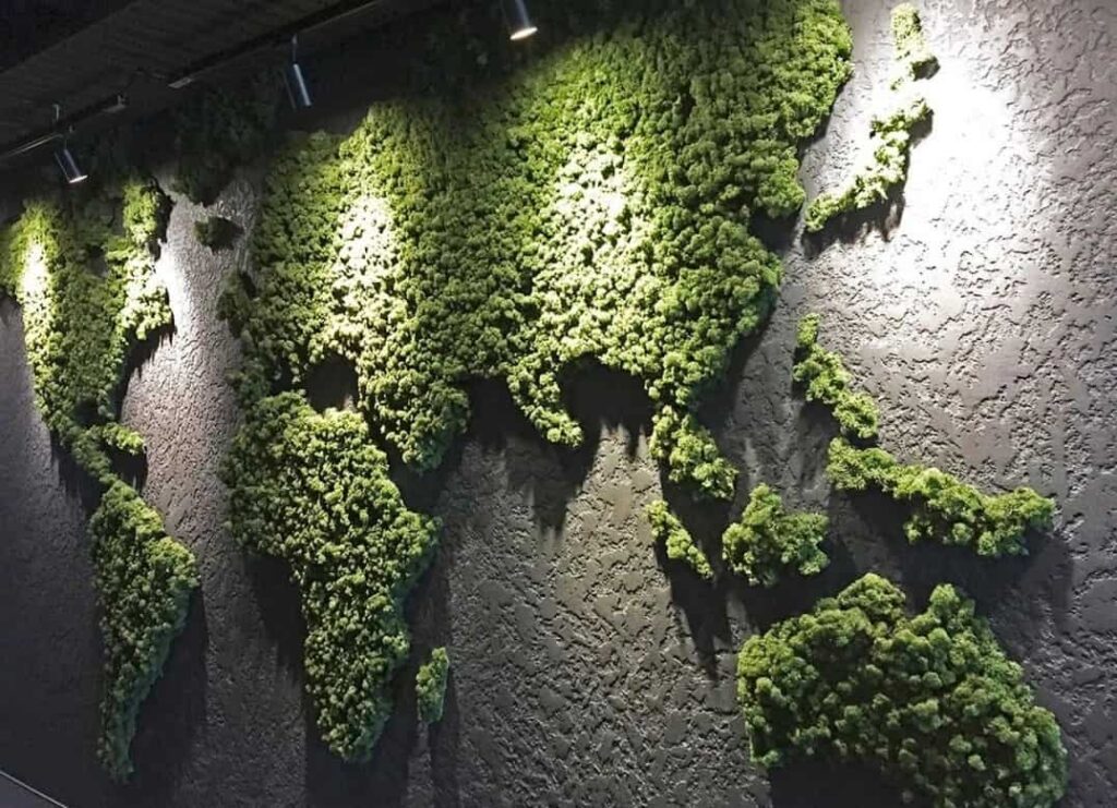 Mapa del mundo en musgo preservado sobre pared de piedra