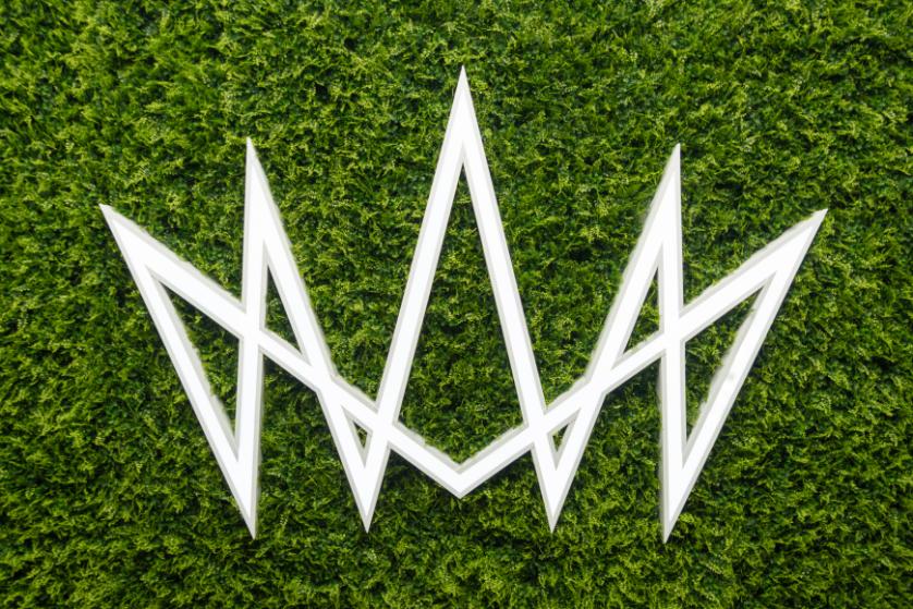 logo flor and design
