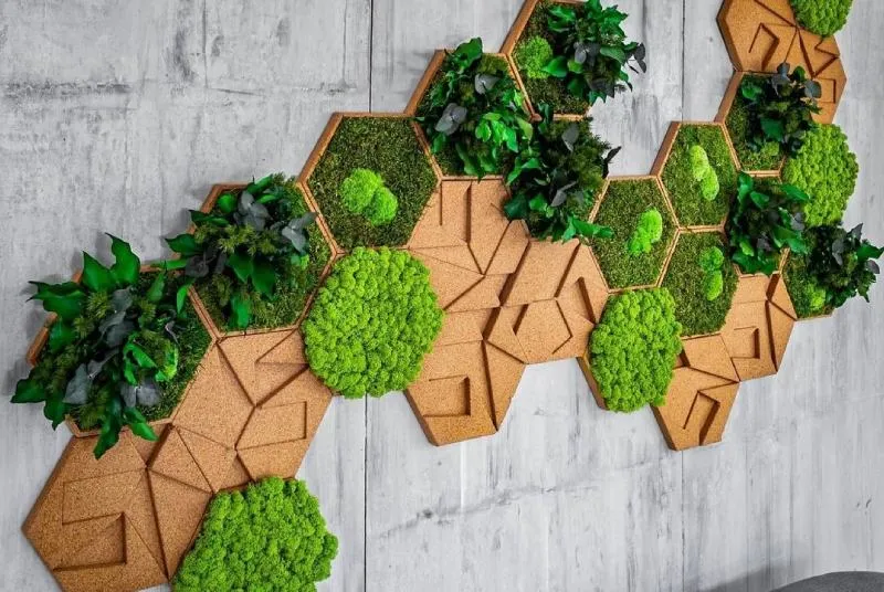 jardines verticales en gran canaria