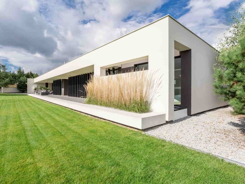 Trabajo césped residencial premium